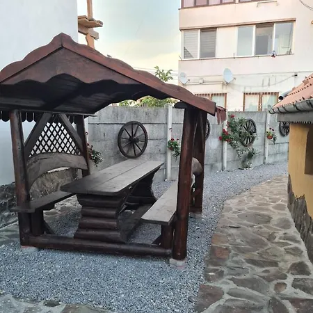 Casa Vlasea Albesti Bed and breakfast